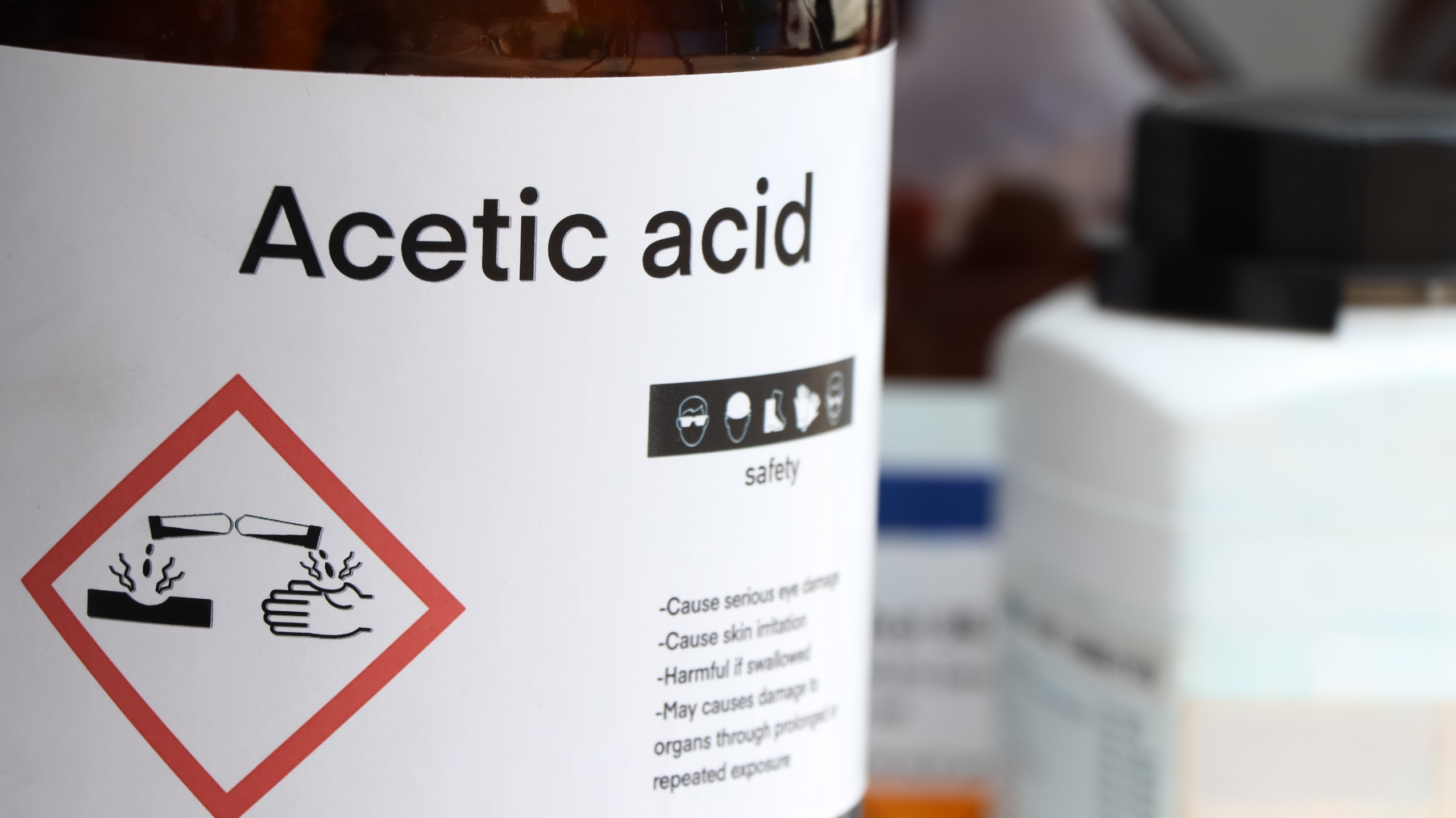 Untitled design - 2026-01-14T122737.305